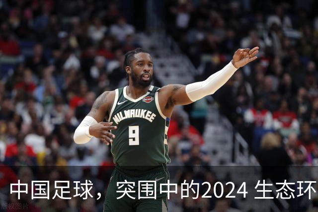 中国足球，突围中的2024 生态环境将实现好转