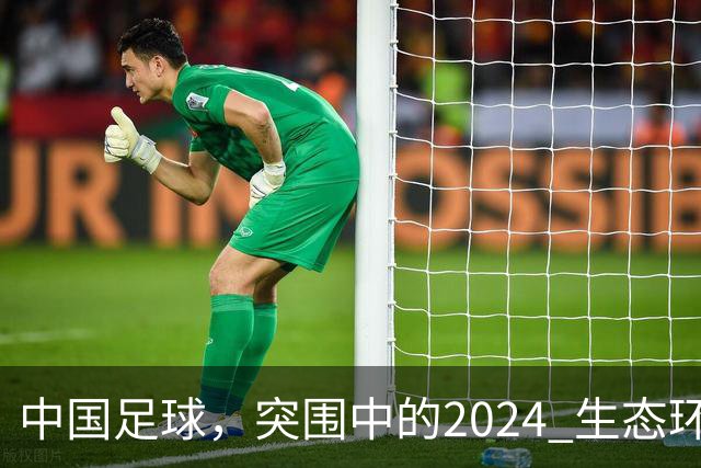 中国足球，突围中的2024 生态环境将实现好转